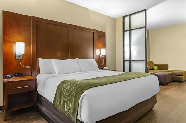 Comfort Suites Helena Airport photo 2