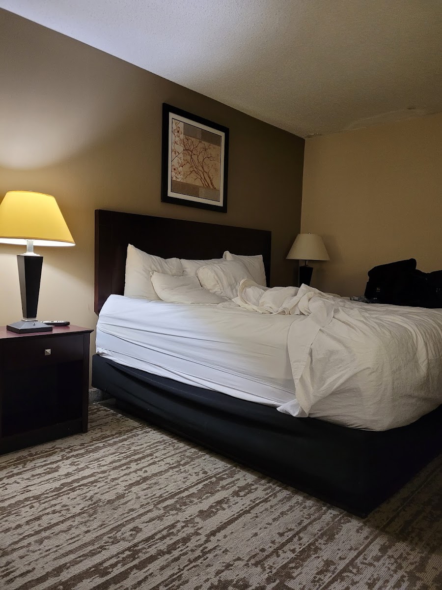 Red Lion Hotel San Angelo photo 2