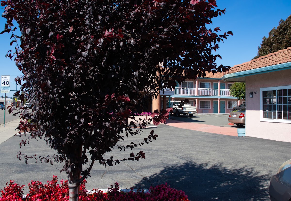 Discovery Inn Hayward - Castro Valley photo 3