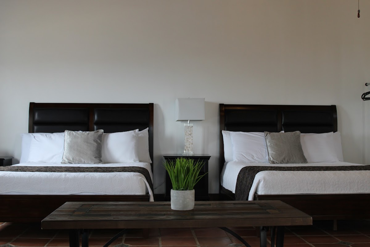 Viñas del Castillo Hotel Boutique & Vinícola