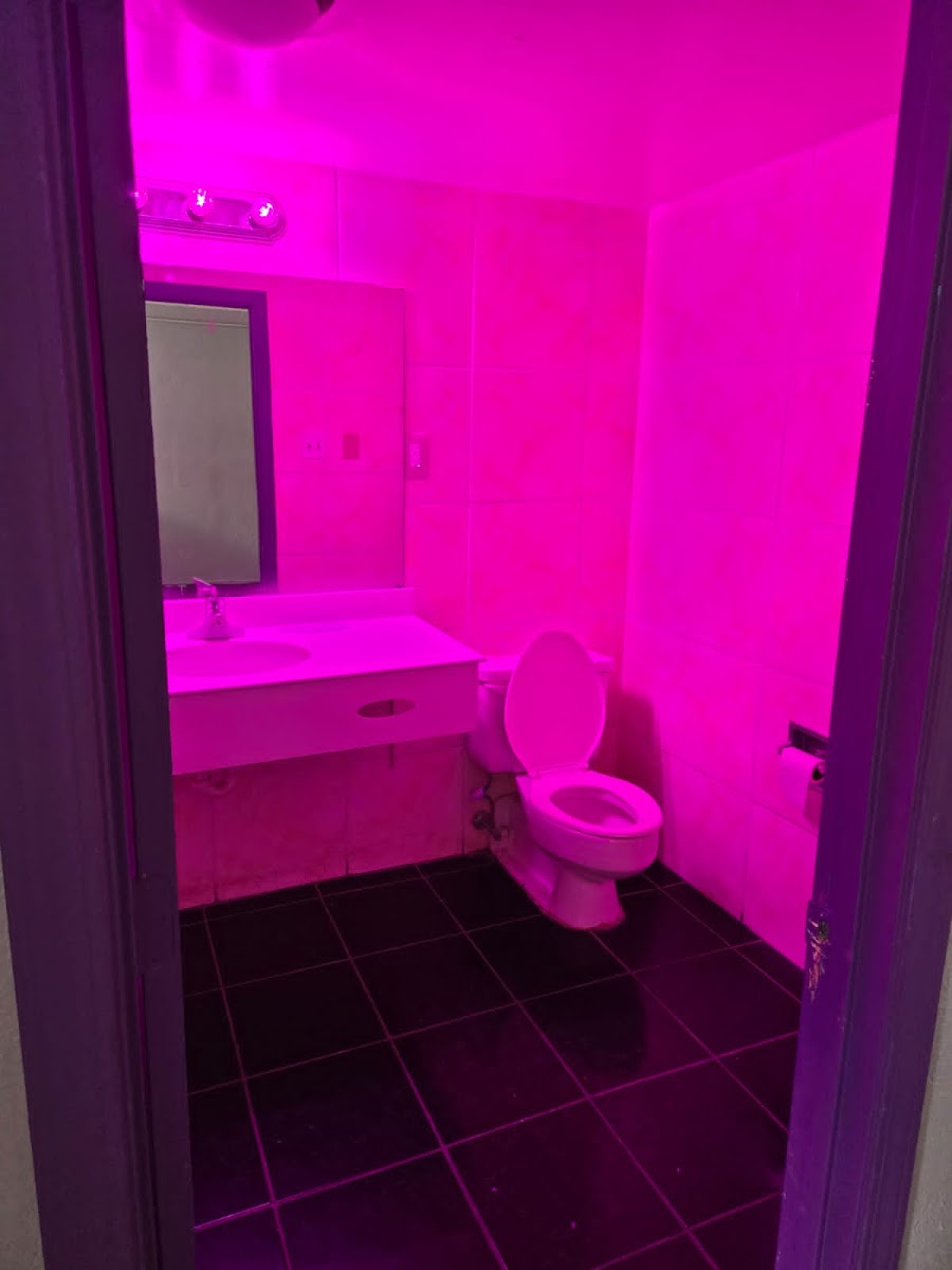 Rashelle Hotel Atlanta photo 2