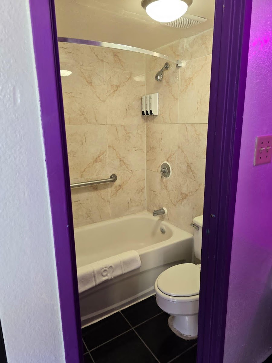 Rashelle Hotel Atlanta photo 3