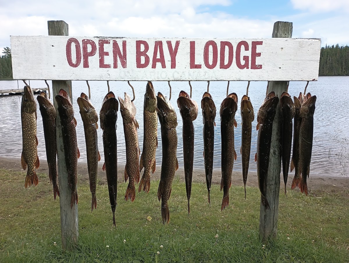 Open Bay Lodge photo 3