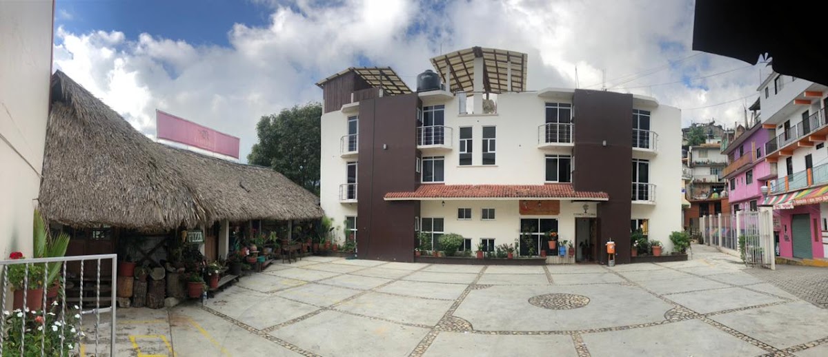 Los Cedros