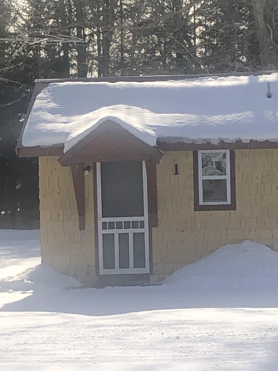 Yogi's Cabins Last Resort photo 3