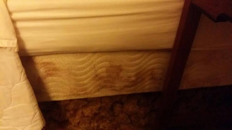 Longhorn Motel photo 2