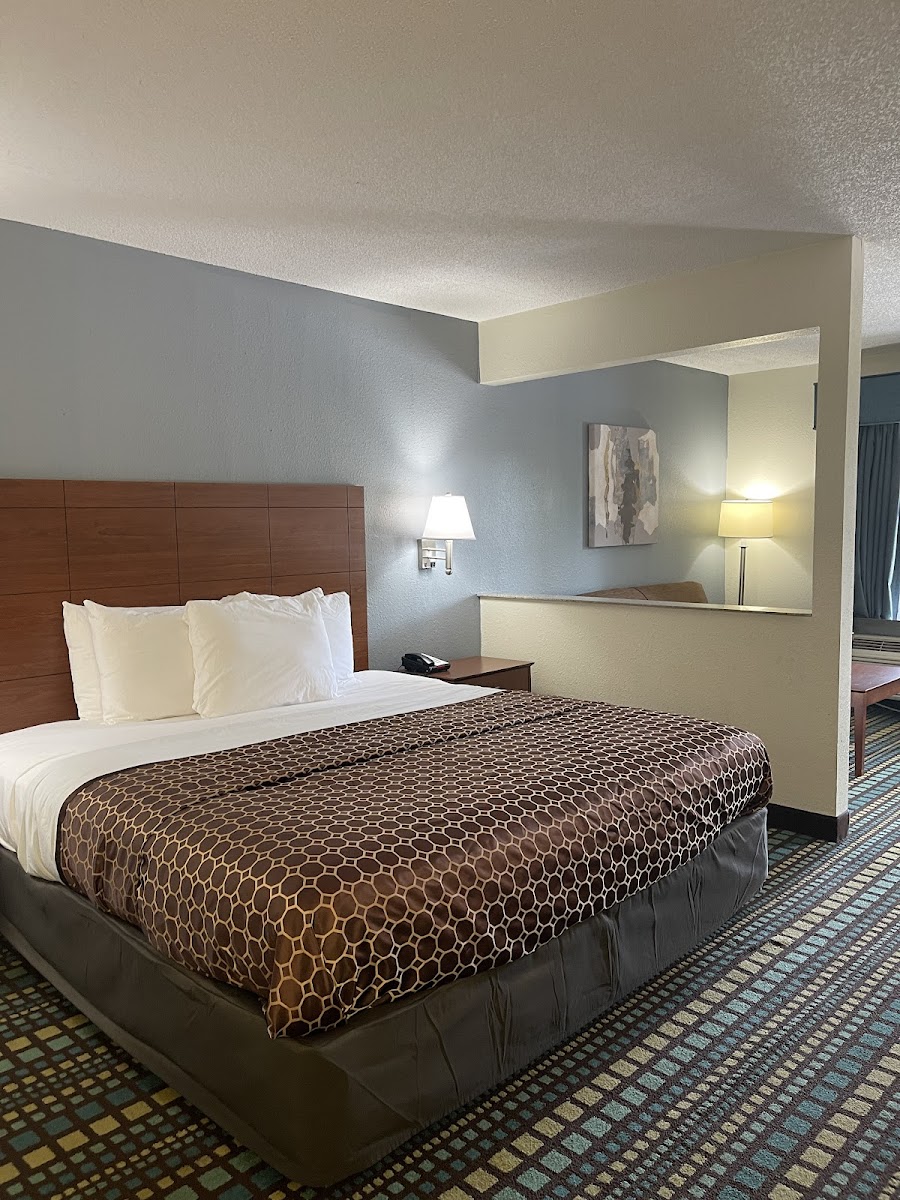Best Western Tallahassee-Downtown Inn & Suites photo 2
