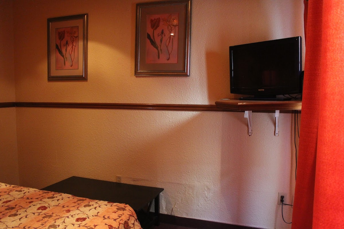 Hotel Baja Beach photo 2