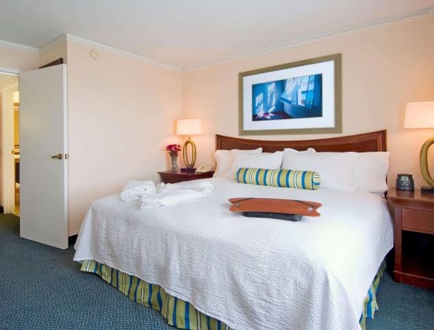 Embassy Suites by Hilton Baltimore at BWI Airport photo 3