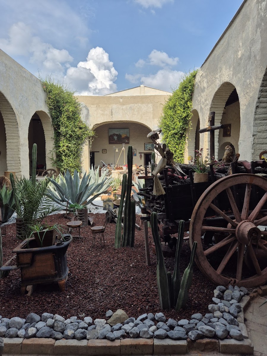 Museo del Ojo