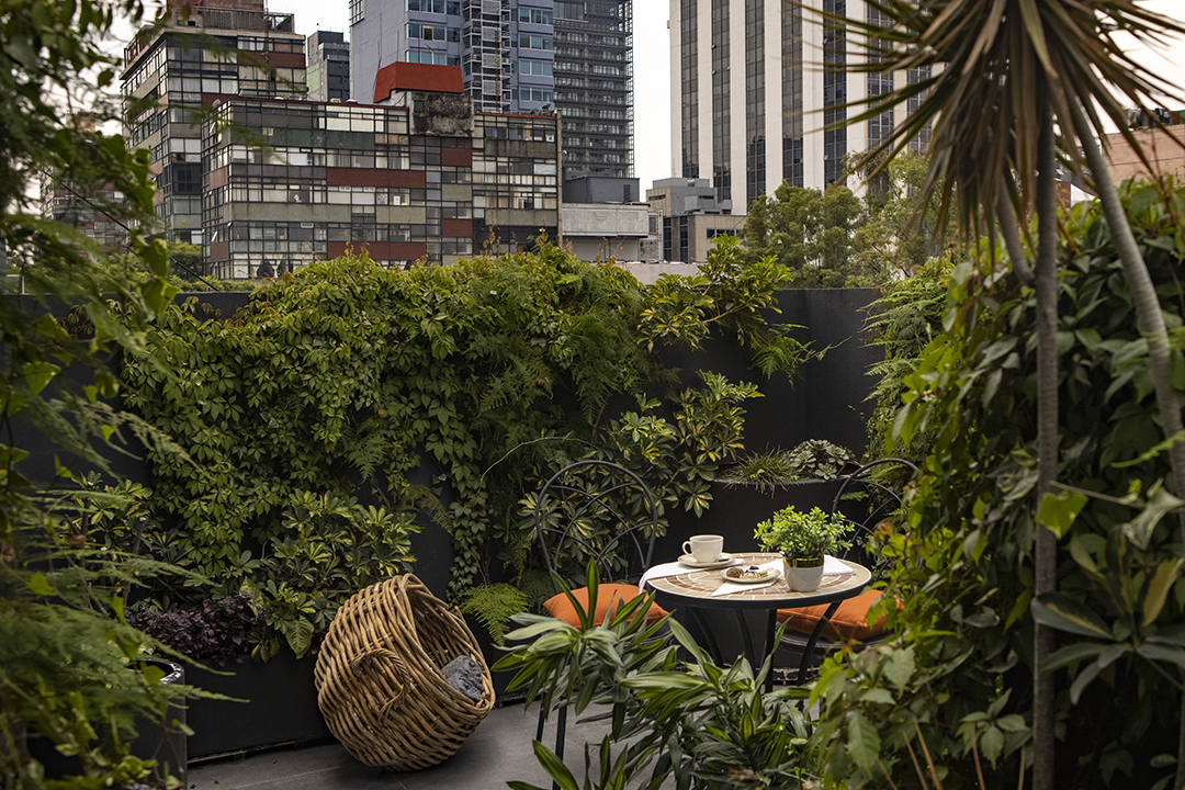 Reforma Guest House