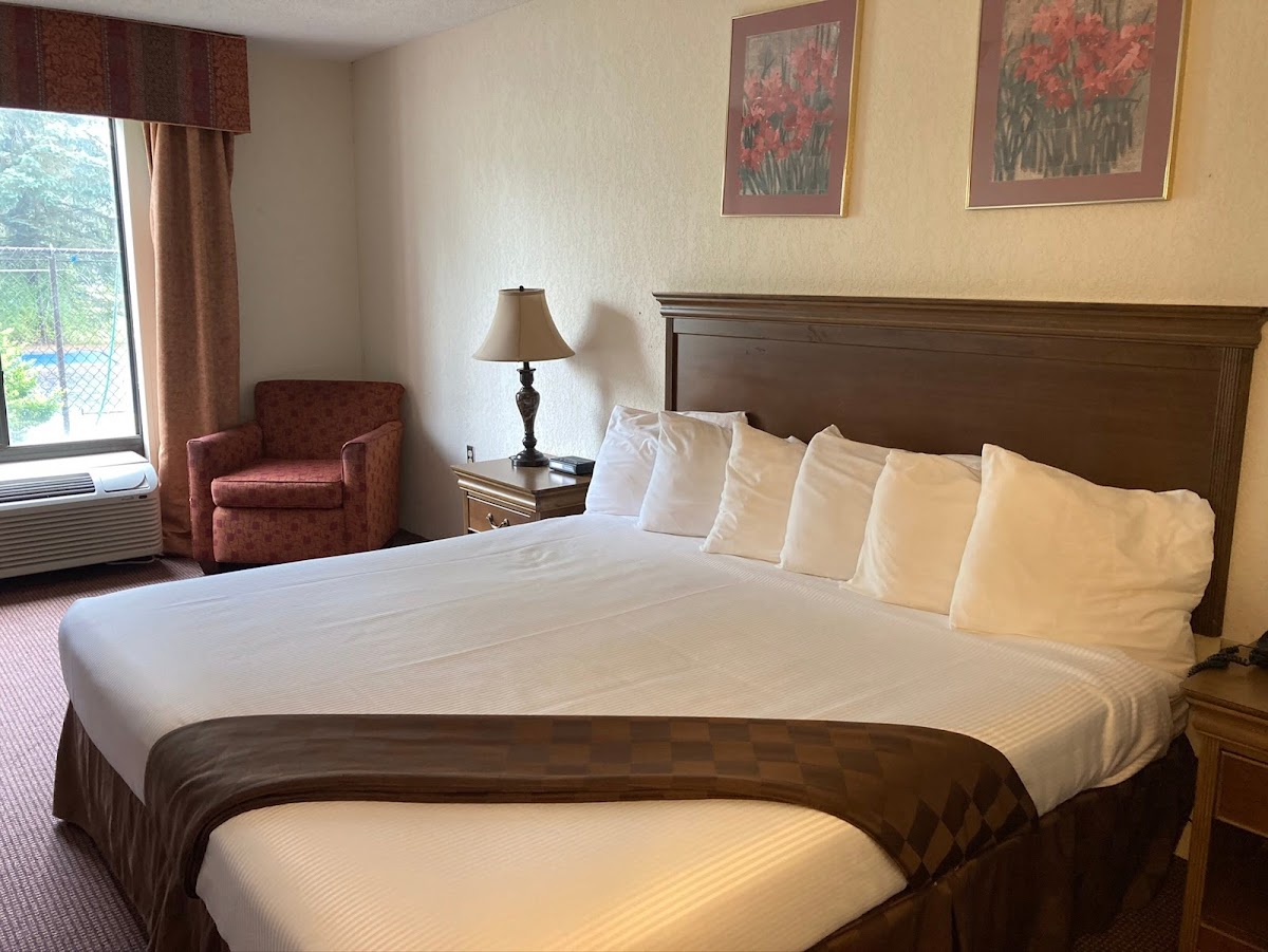 Americourt Hotel photo 2