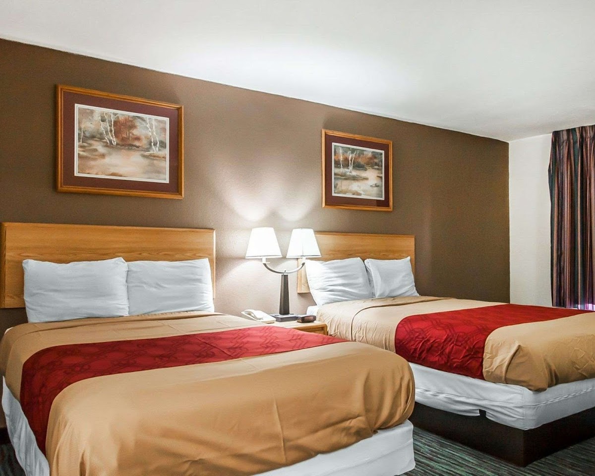 Econo Lodge Inn & Suites Jackson Northwest photo 2