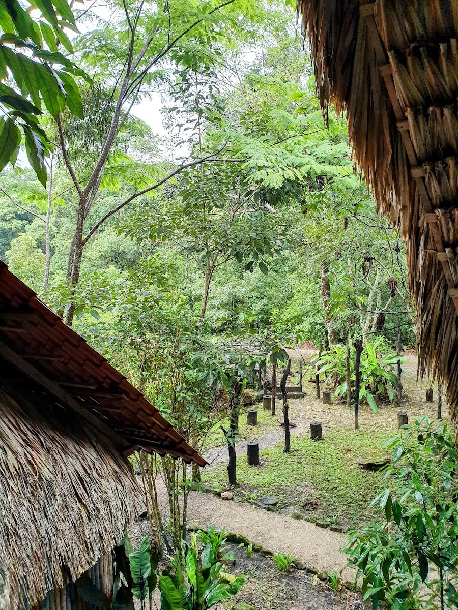 Ecolodge Naha photo 3
