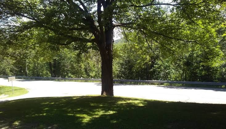 Nob Hill Motel & Cabins photo 3
