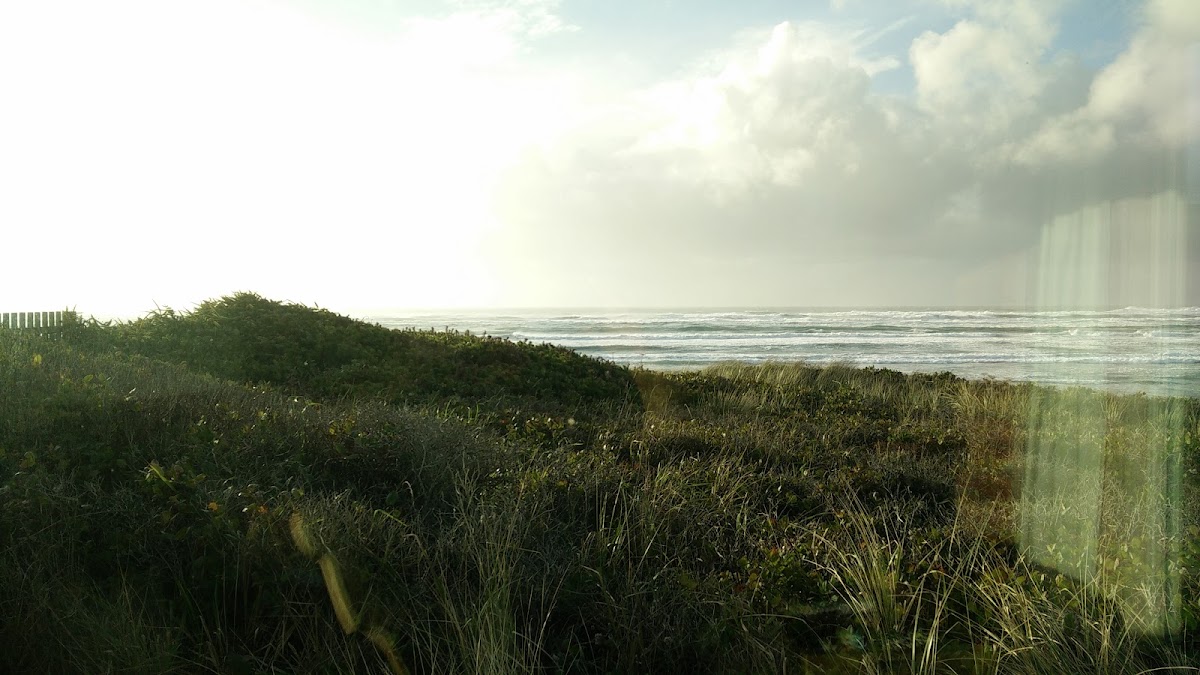 Wayside Lodge photo 3