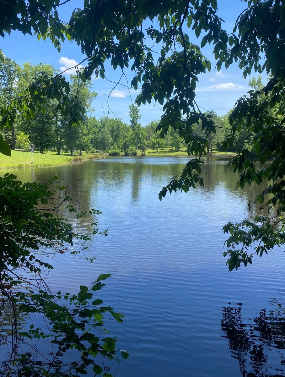 Ellerbe Springs Resort photo 3