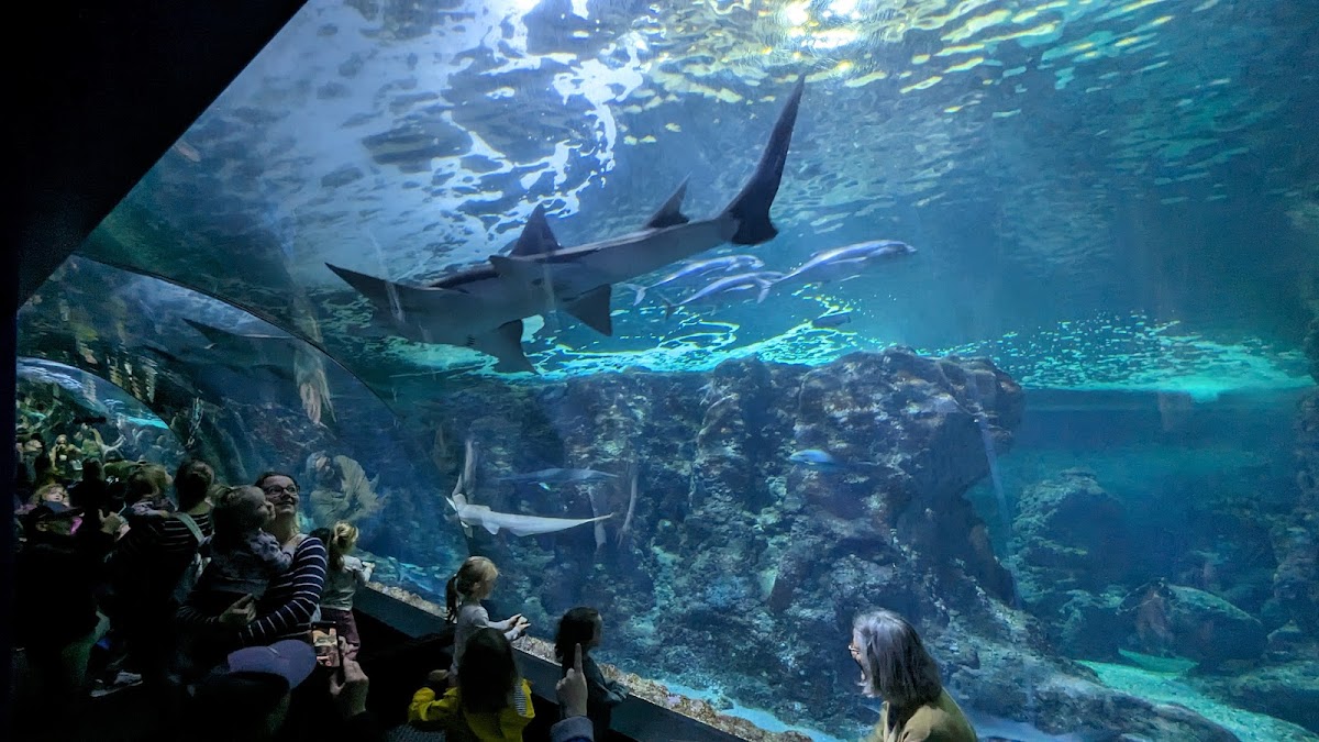 Oceanopolis