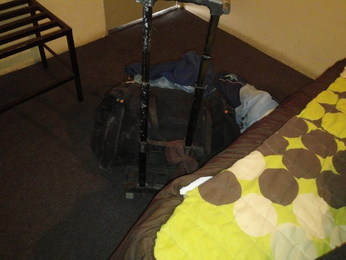 Sol del Pitic Hotel photo 3