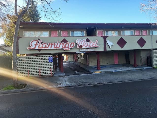 The Flamingo Motel