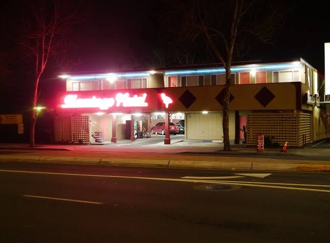 The Flamingo Motel photo 3