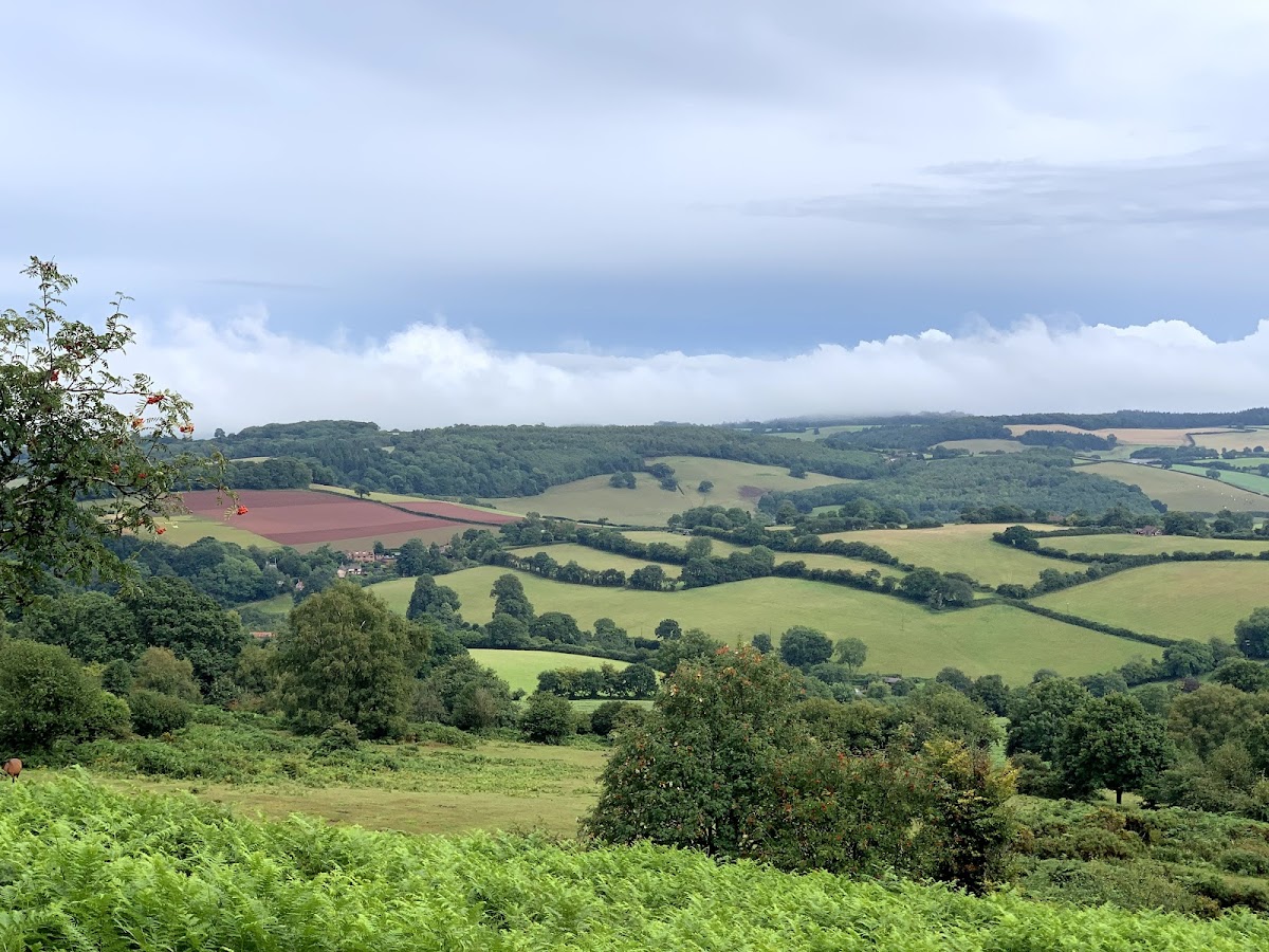 Quantock Hills