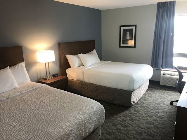 Travelodge by Wyndham Sydney photo 2