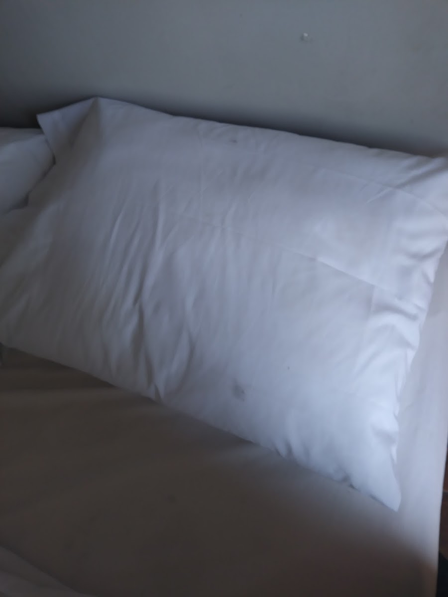 College Hotel photo 2