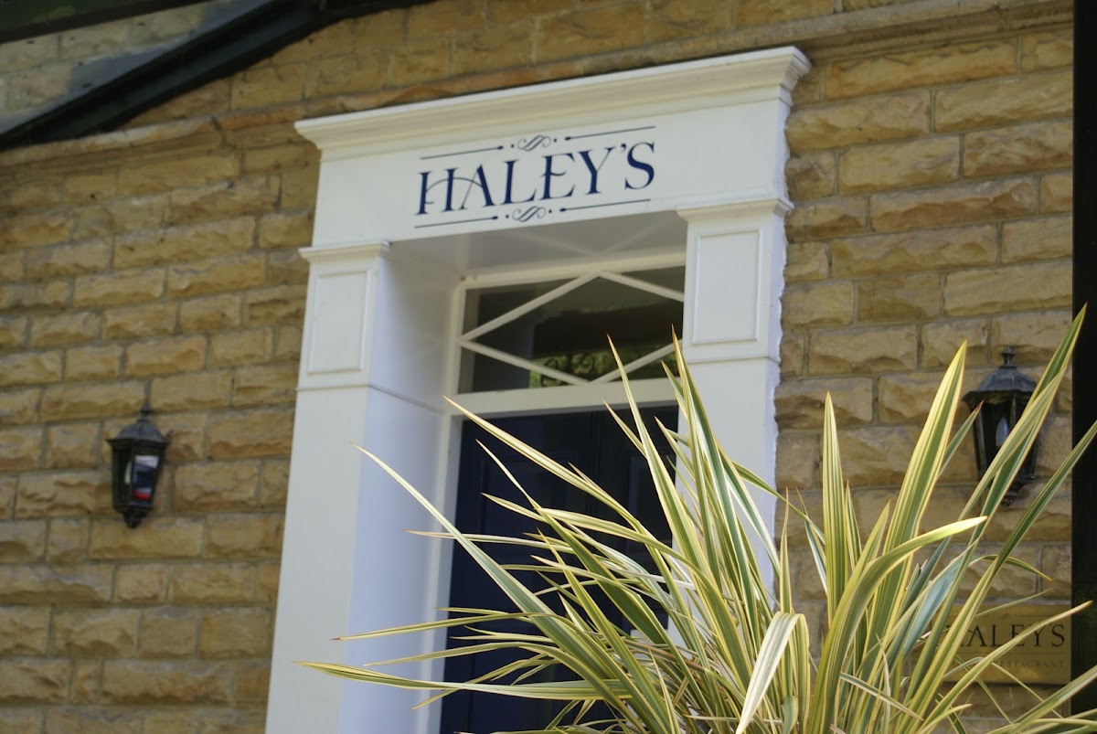 Haley's Hotel photo 3