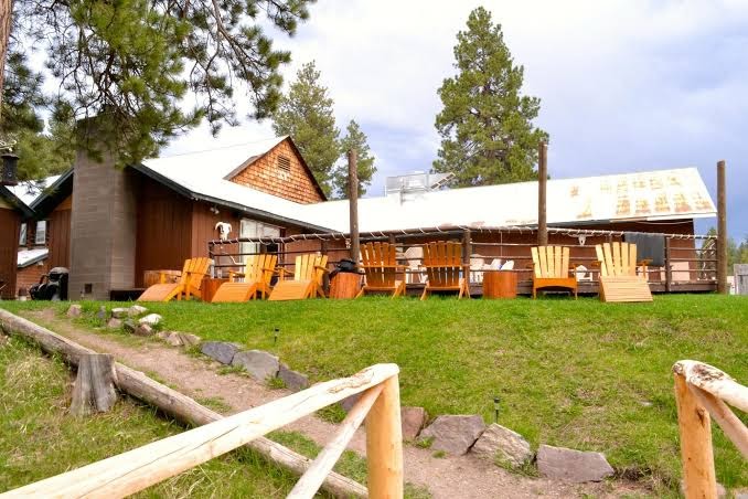 Lincoln Log Hotel photo 3