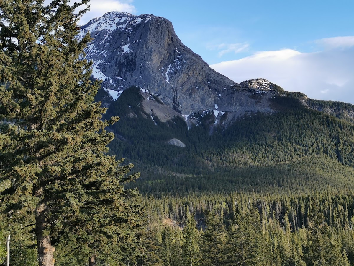 Overlander Mountain Lodge photo 2