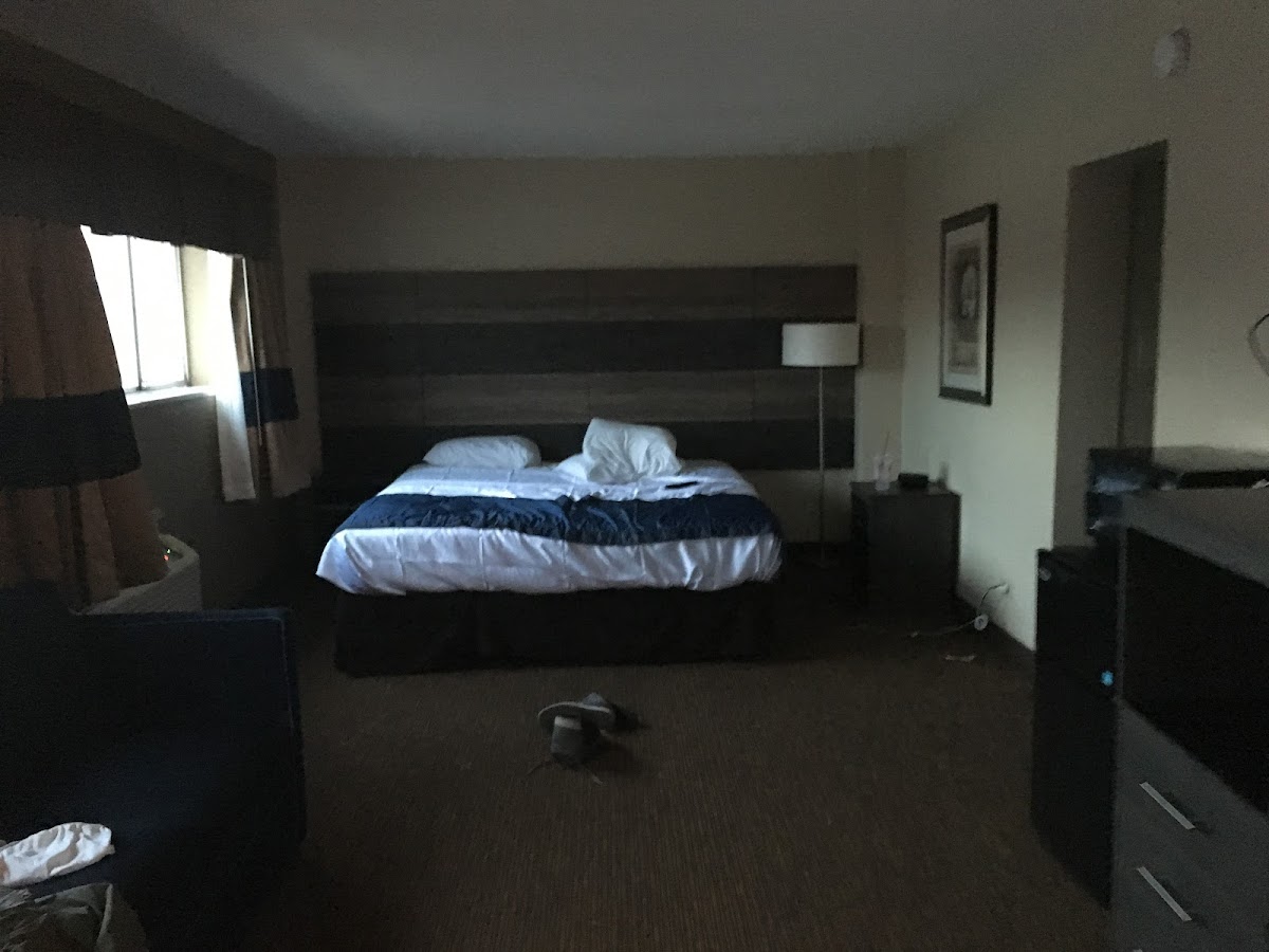 Stay Inn & Suites Detroit