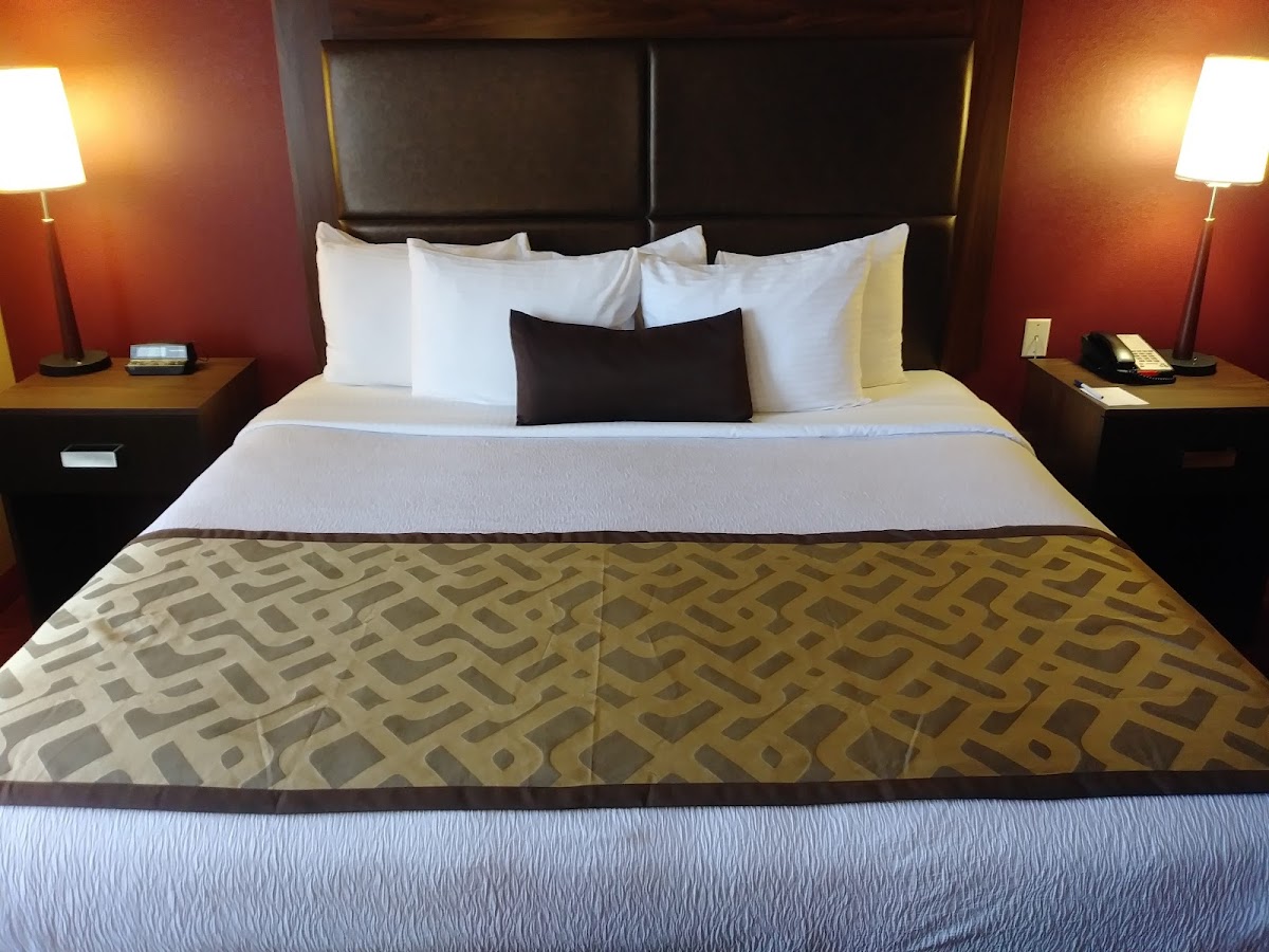 Best Western Plus Woodland Hills Hotel & Suites photo 2