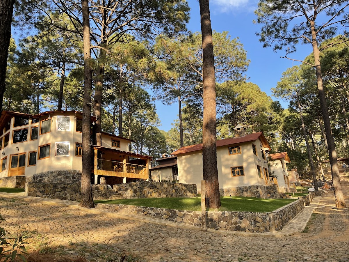 Cabañas Bosque Magico