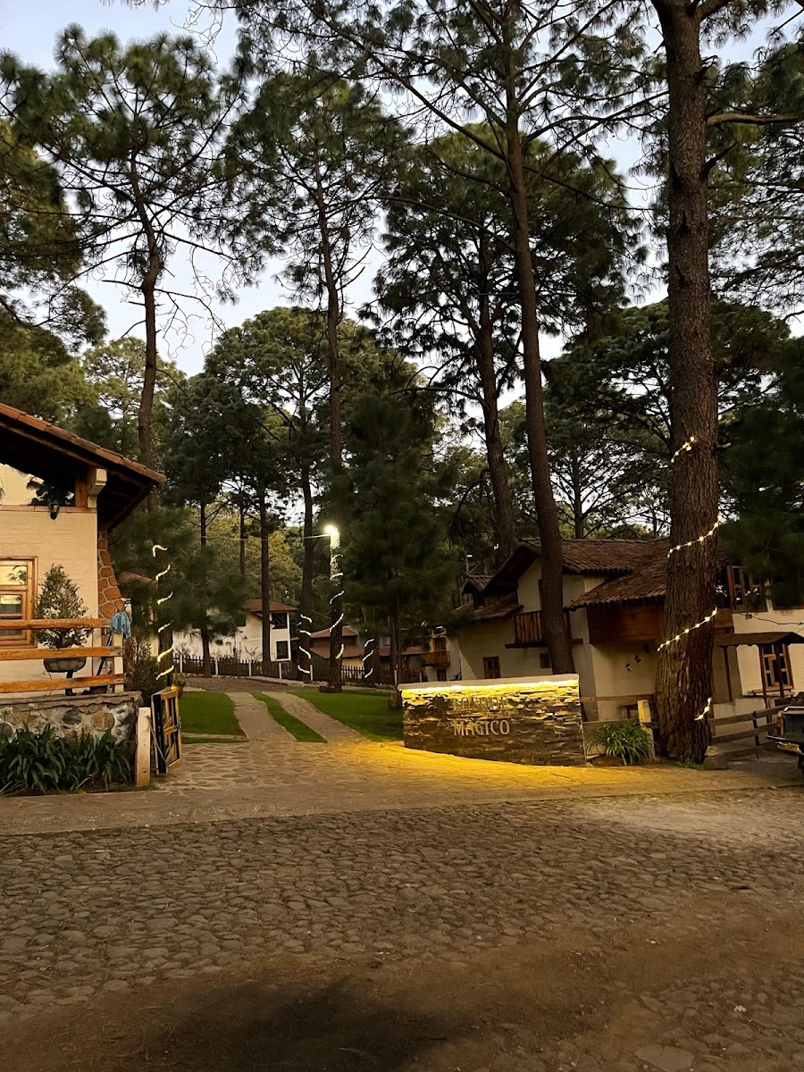 Cabañas Bosque Magico photo 2