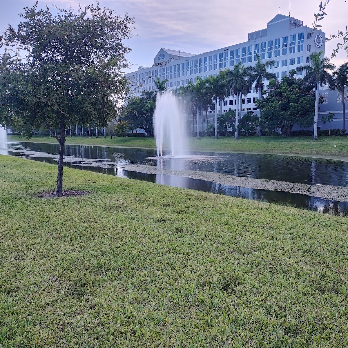 Fairfield by Marriott Inn & Suites Deerfield Beach Boca Raton photo 3