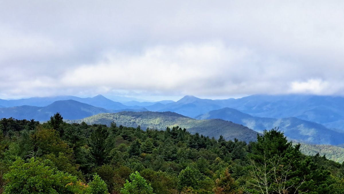 Cherokee National Forest