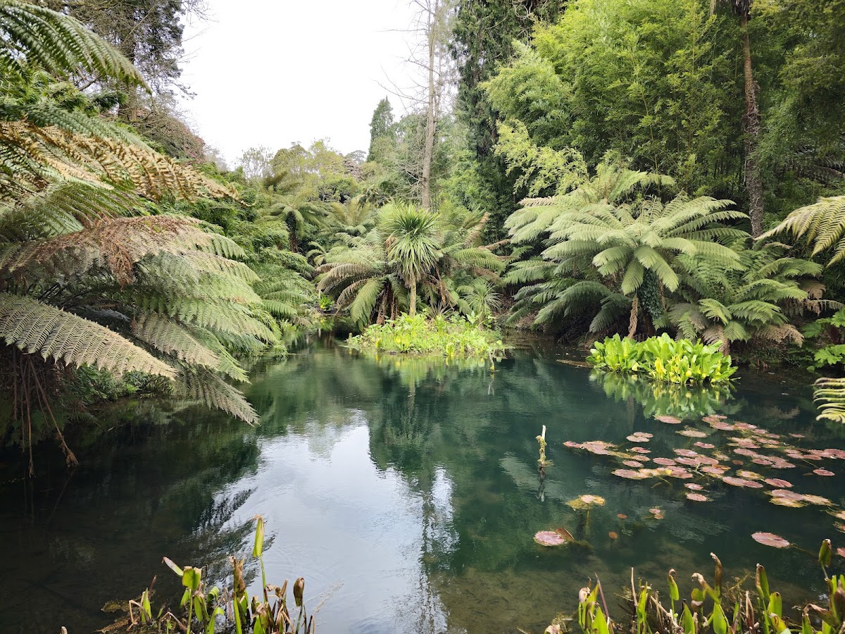 The Lost Gardens of Heligan
