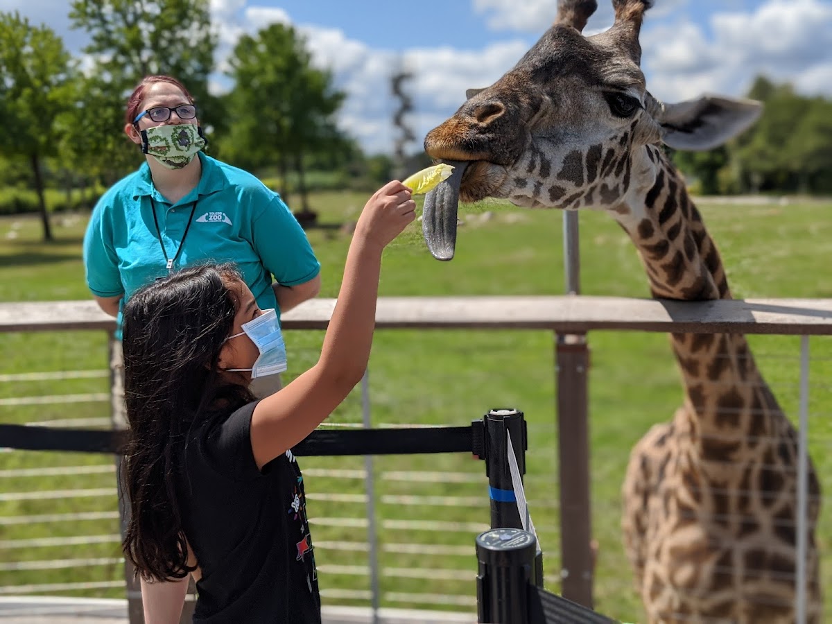 Toledo Zoo