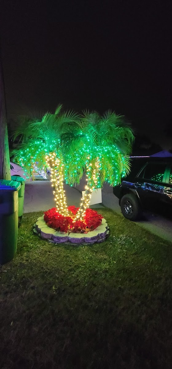 Twi-Light II Motel photo 2