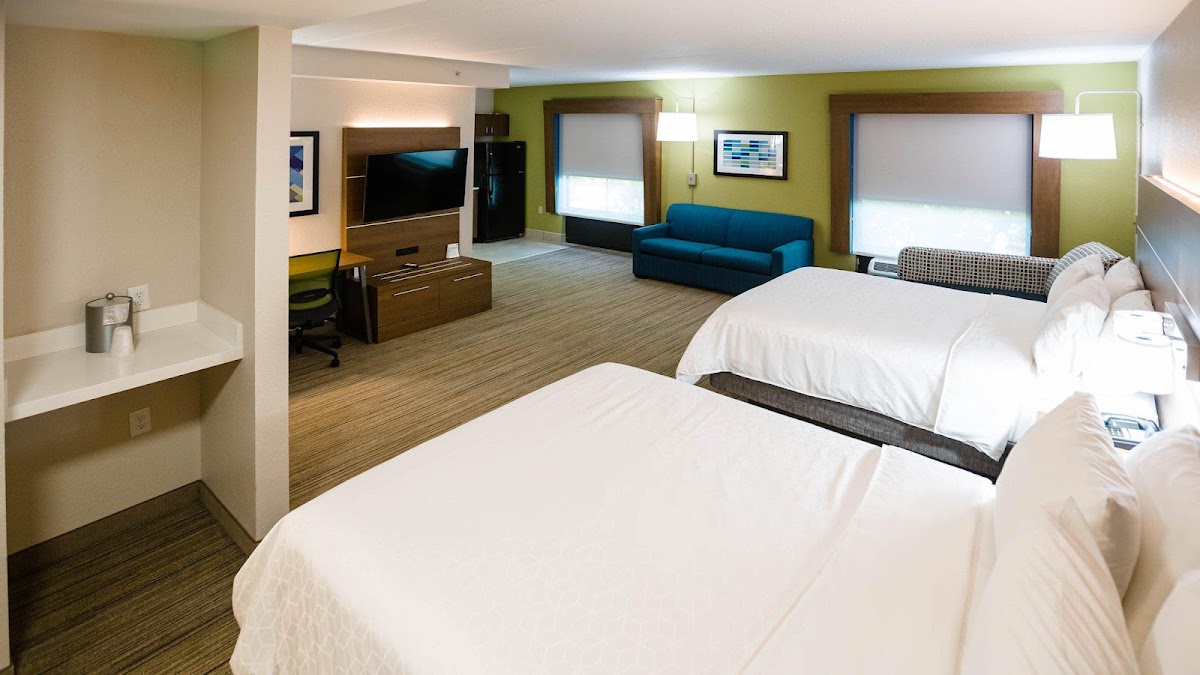 Holiday Inn Express & Suites Knoxville-Farragut by IHG photo 2