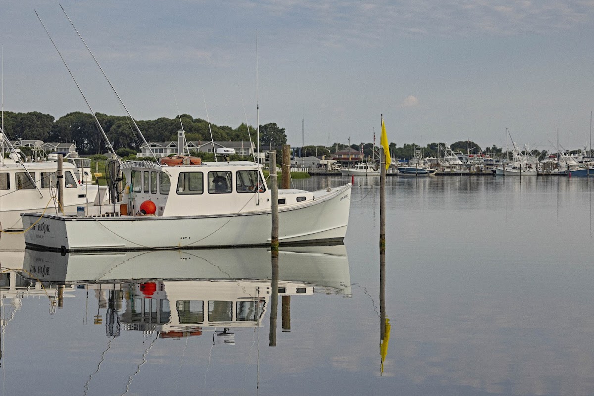 Snug Harbor Motel & Marina photo 2