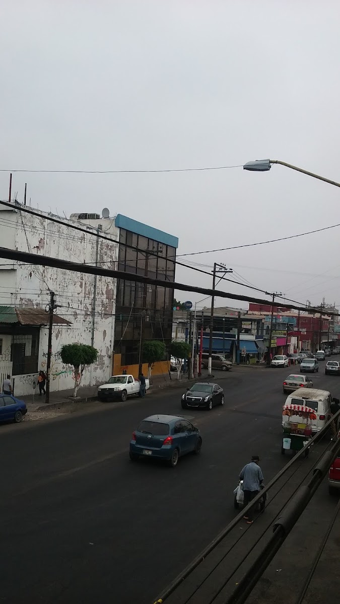 Hotel El Tule photo 2