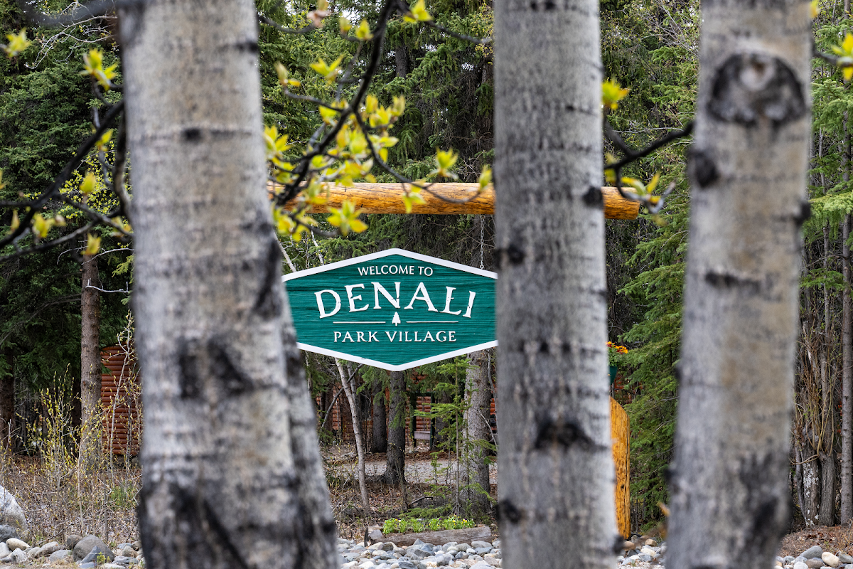 Denali Park Village photo 2