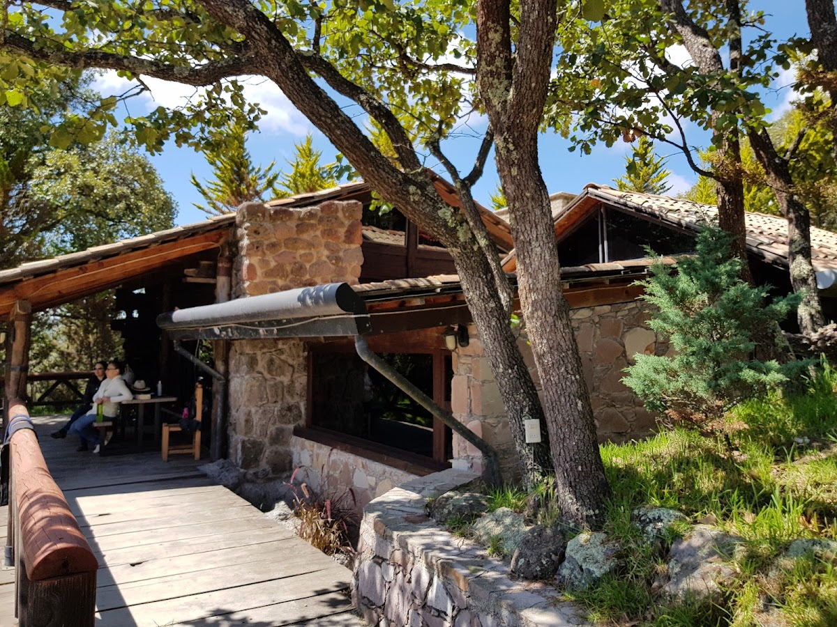 Cabañas Sierra Coyote photo 3