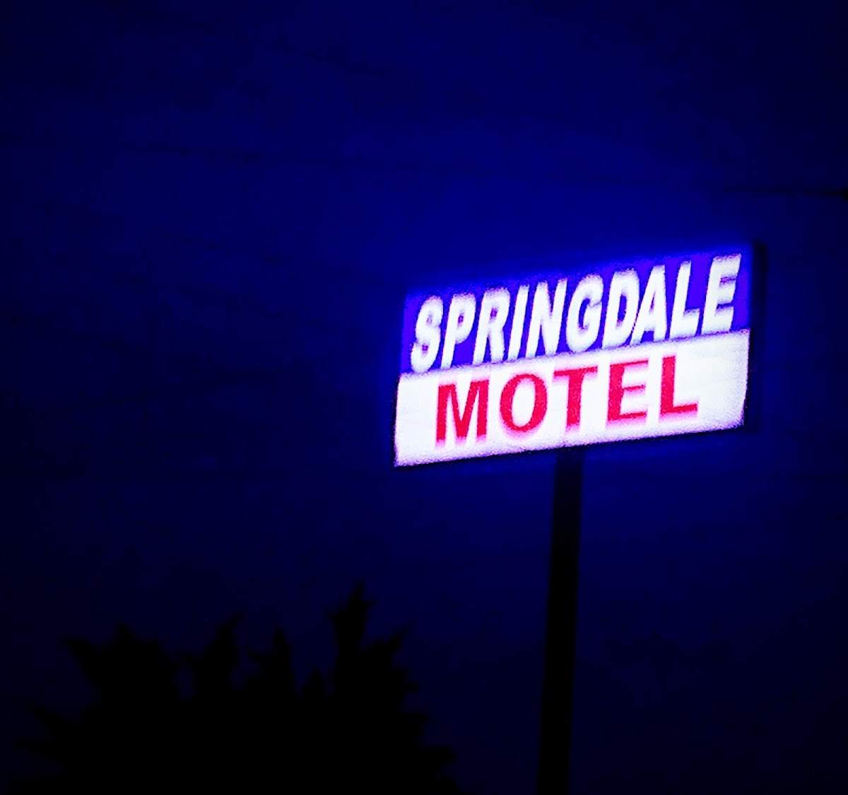 Springdale Motel photo 2