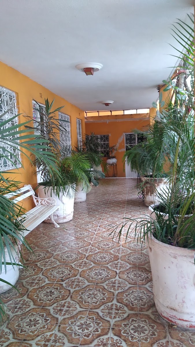 Hotel Villa Cipres photo 2
