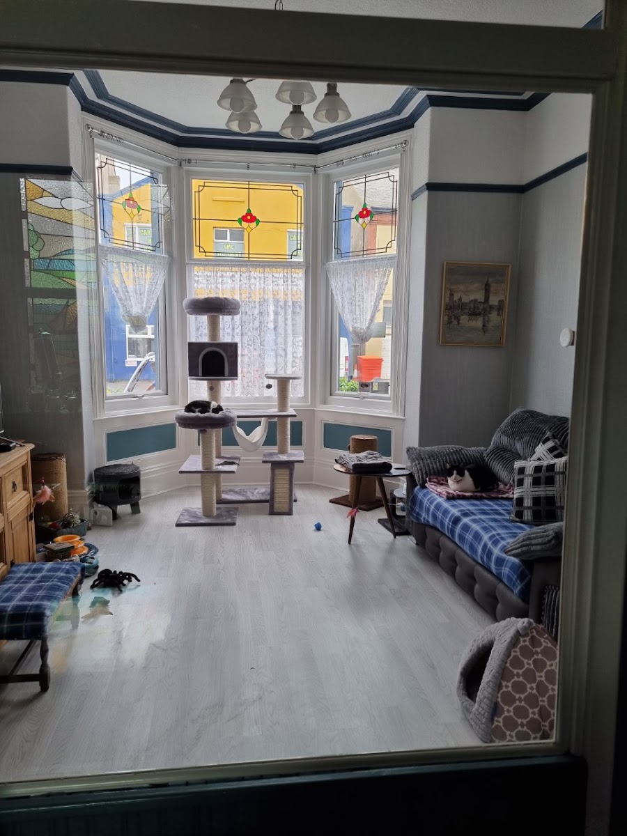 Sirocco Blues Guest House photo 3