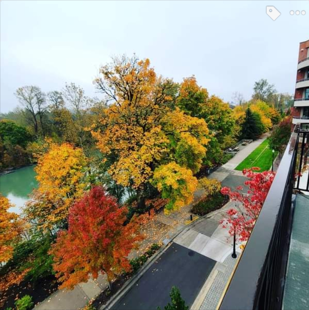 Courtyard by Marriott Corvallis photo 2