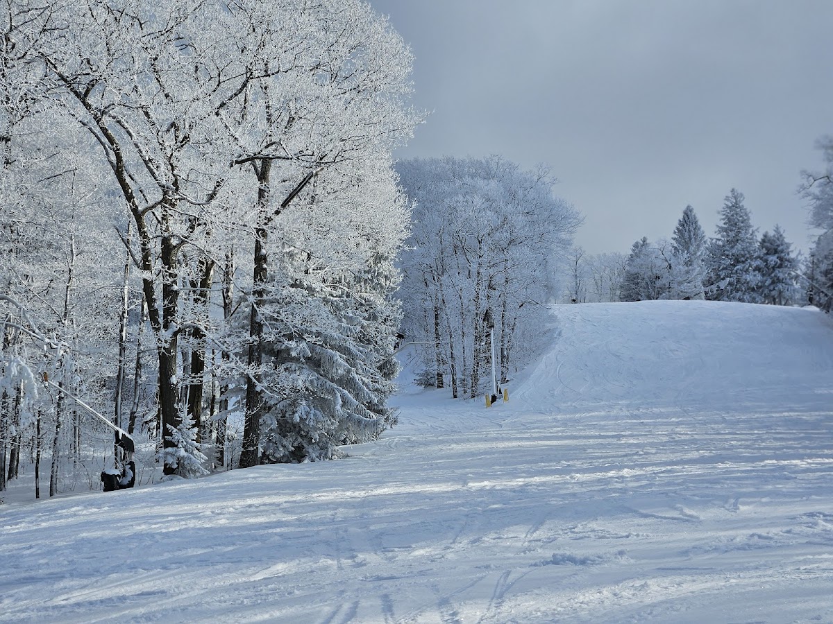 Laurel Mountain Ski Resort photo 2